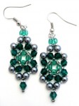 Bejeweled Earrings