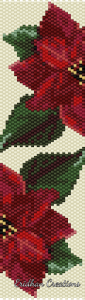 Christmas Poinsettia