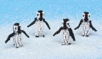 Pack of Penguins